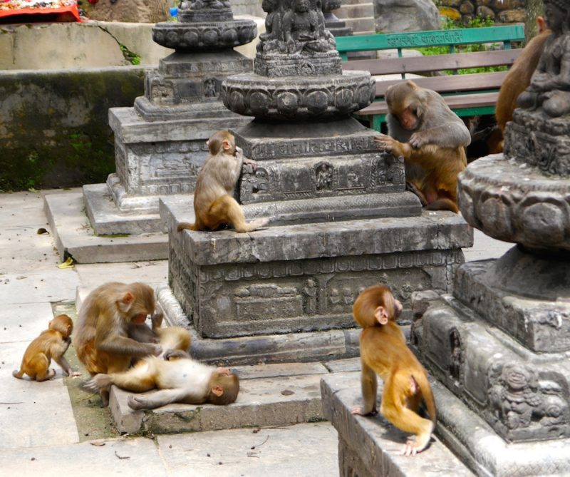 sacred places in kathmandu