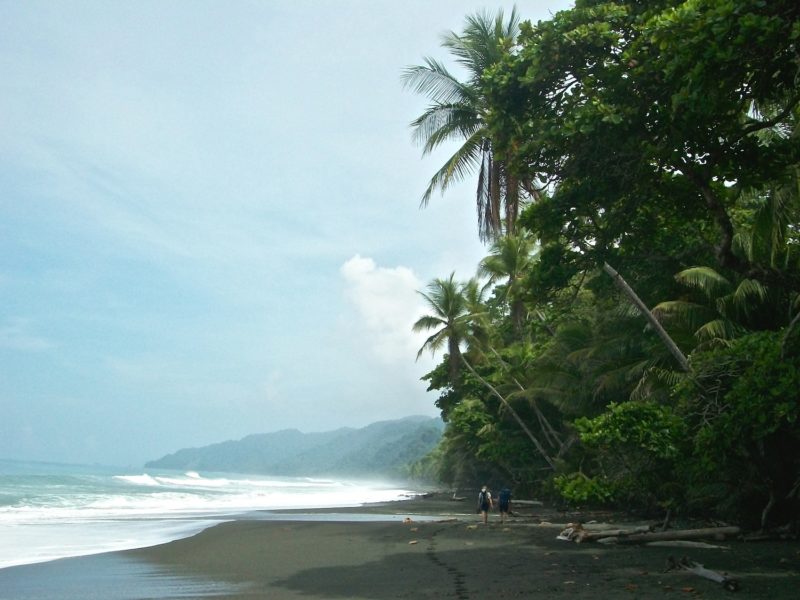 corcovado costa rica, lost in a jungle