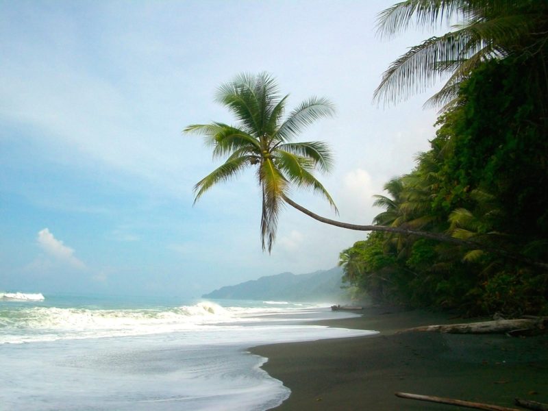 lost in a jungle, corcovado costa rica