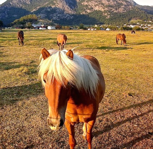 norway