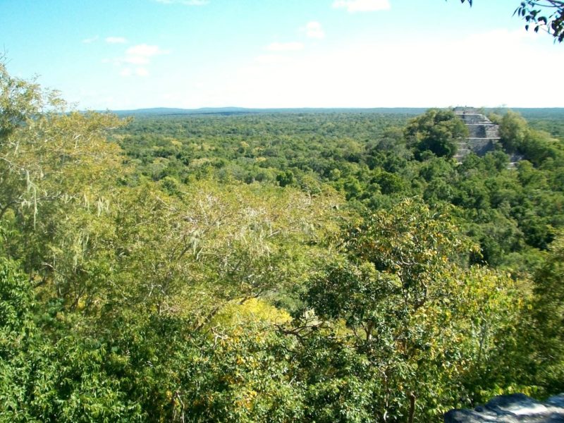 best of Mexico, Maya ruins, Kalakmul