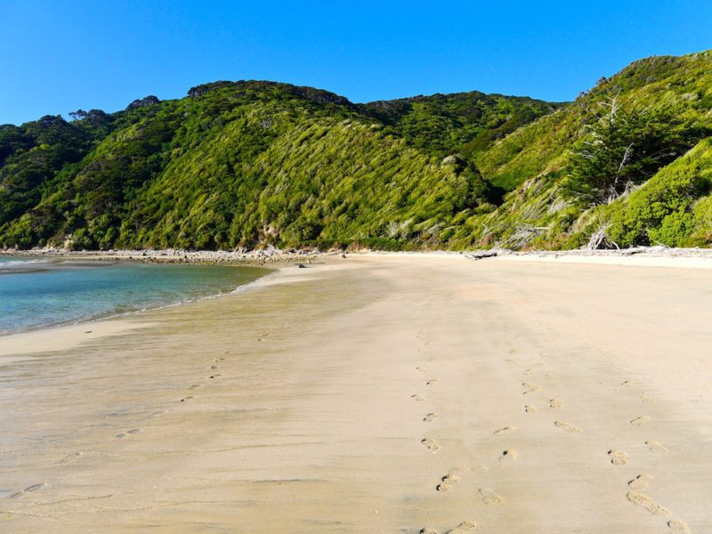 must see places in New Zealand, Abel Tasman National Park