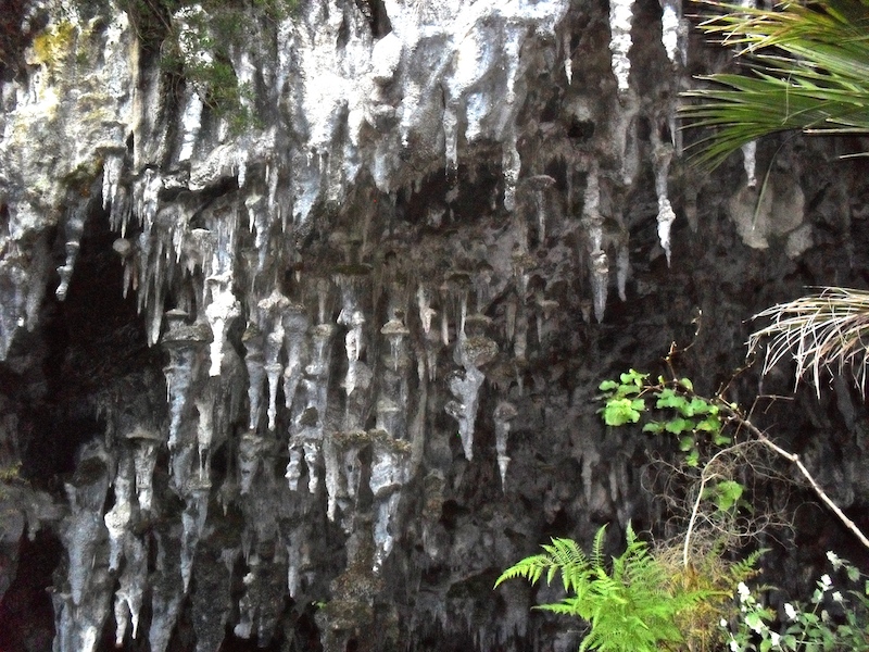 must see places in New Zealand, Rawhiti cave
