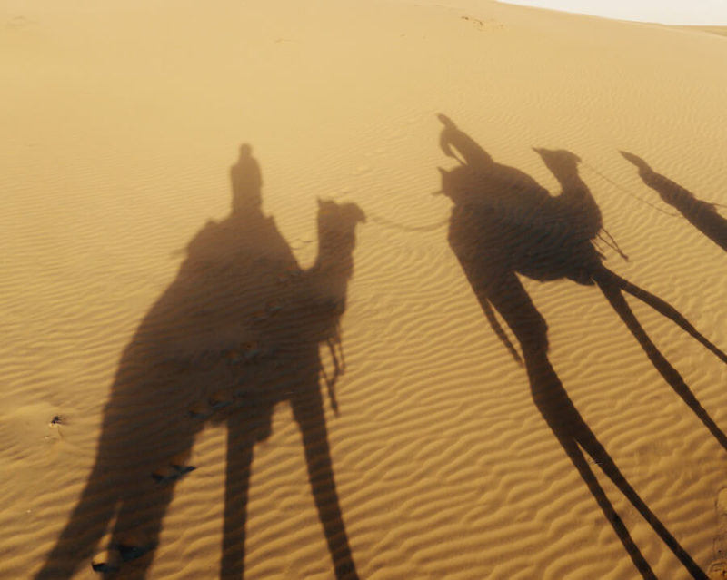 camel safari in jaisalmer