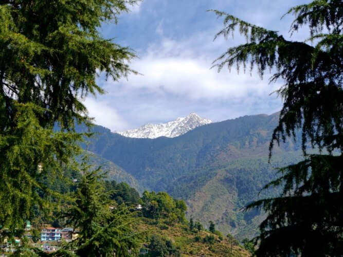 our view from Moonwalk Residency, McLeod Ganj